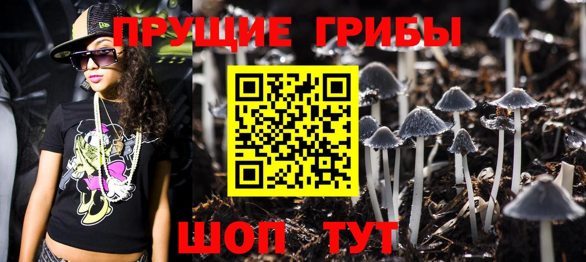Галлюциногенные грибы GOLDEN TEACHER  Псилоцибиновые грибы ЛСД  Вход с VPN  Тихорецк 