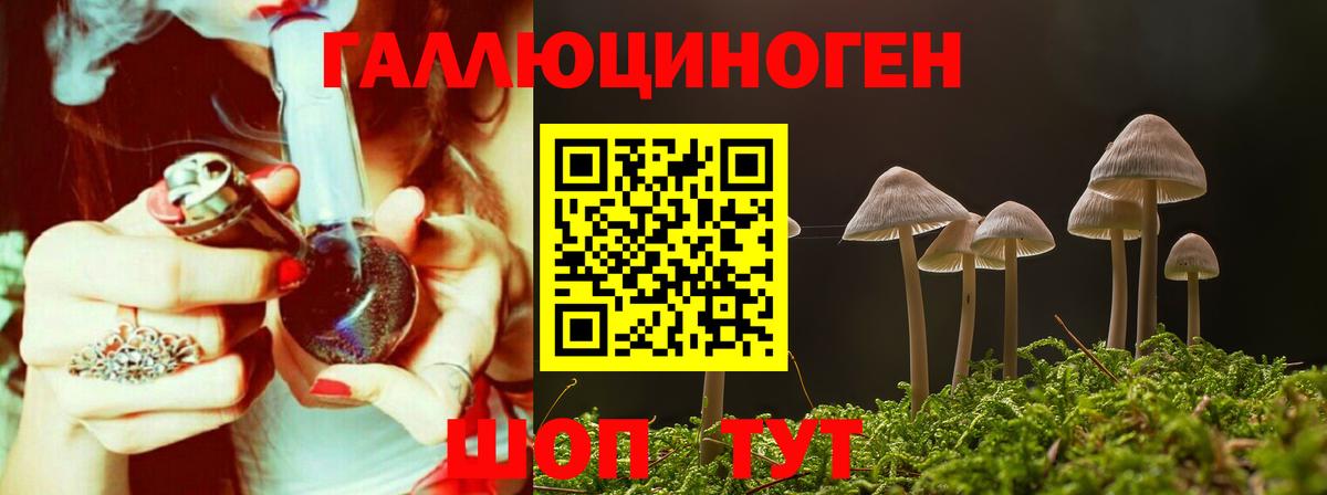 Галлюциногенные грибы Psilocybe Тихорецк